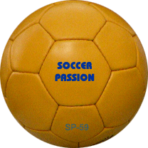 logo soccer ball